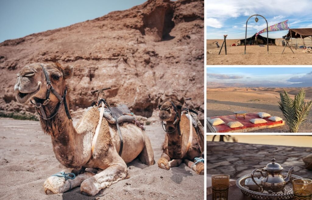 Agafay Desert Journey