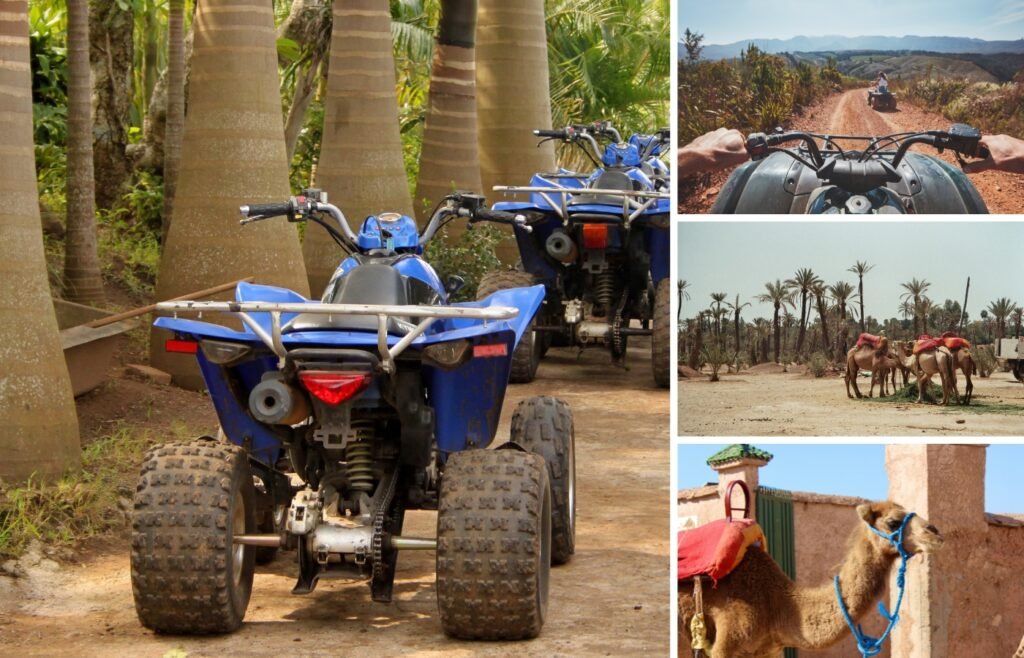 Palmeraie Camel Ride & Quad Bike Experience
