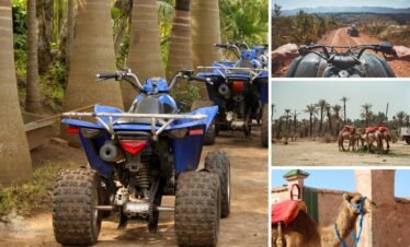 Palmeraie Camel Ride & Quad Bike Experience