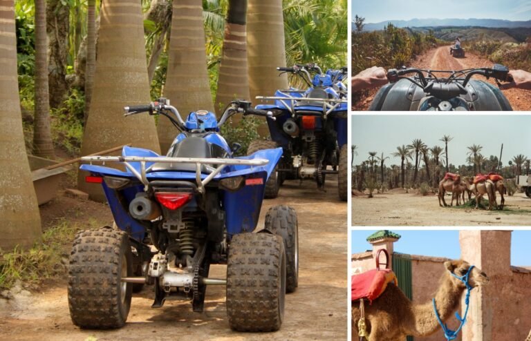 Palmeraie Camel Ride & Quad Bike Experience